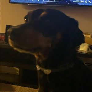 Meet your Posher, Ingrid